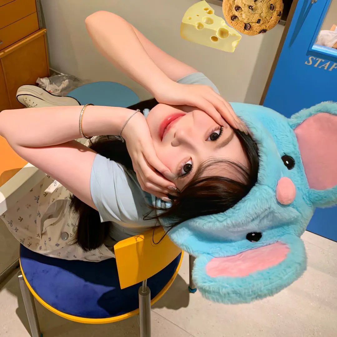 总统之路 封面