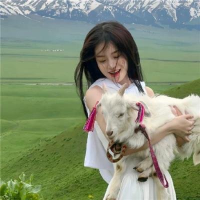 牺牲之旅 封面