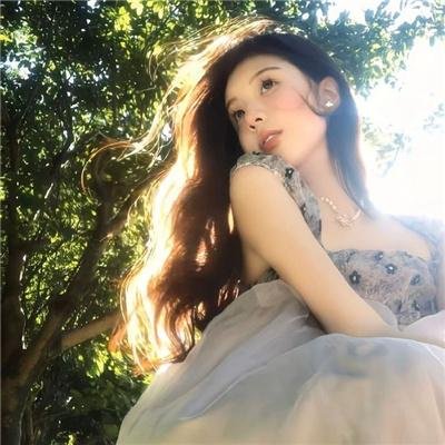 森林的黑暗心脏 封面